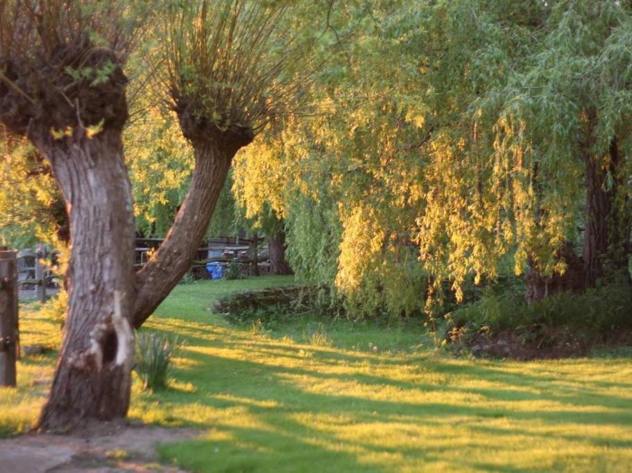 Oak House Farm Apartman Edenbridge Kültér fotó